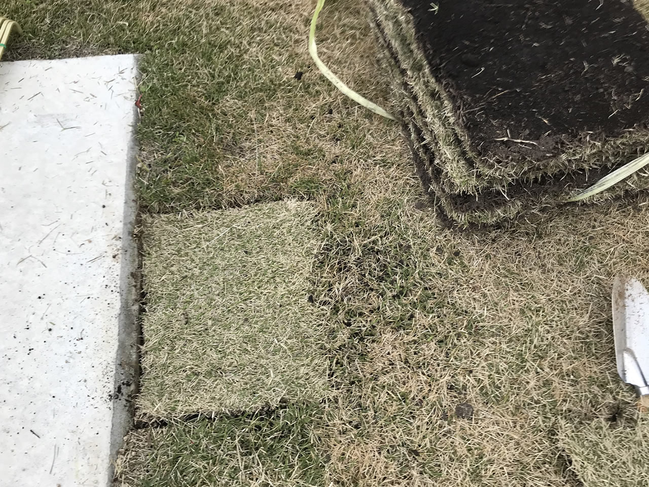 芝生が枯れたら張り替えがおすすめ！簡単にできる素人向け芝生の修復方法とは？ | ギンパパのマイホームブログ