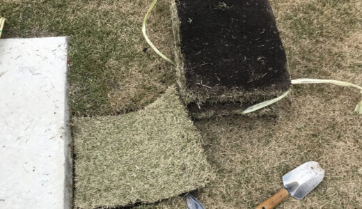 芝生が枯れたら張り替えがおすすめ！簡単にできる素人向け芝生の修復方法とは？