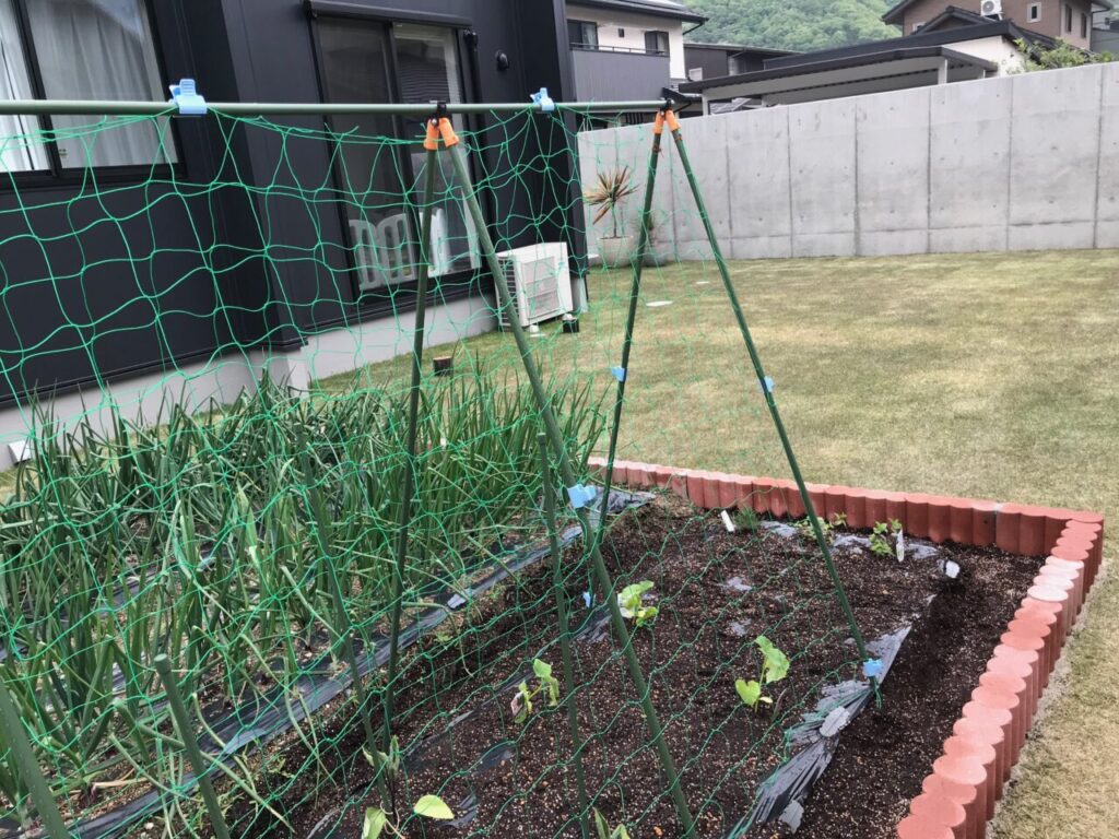 いつかは自宅の庭で家庭菜園を始めたい ガーデンエースの花壇ブロックでおしゃれな菜園スペースをdiyで作ってみた ギンパパのマイホームブログ