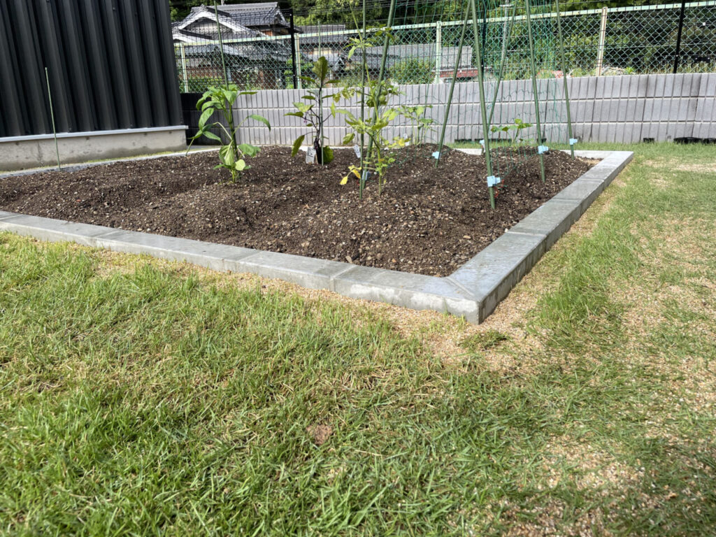夏野菜を植えた家庭菜園スペース