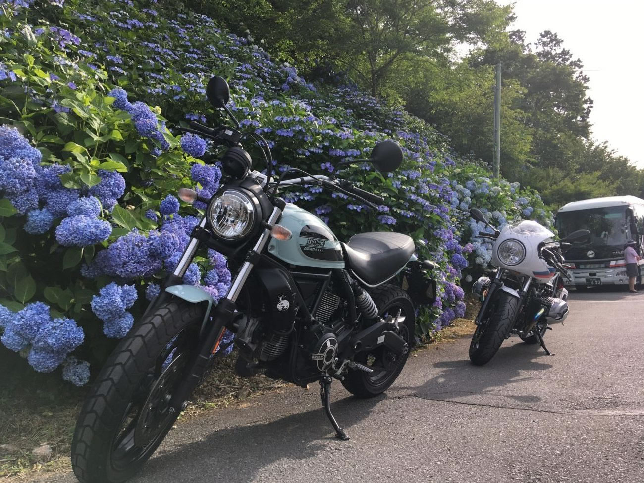 ドカティースクランブラーとBMW R nine T racerとアジサイ