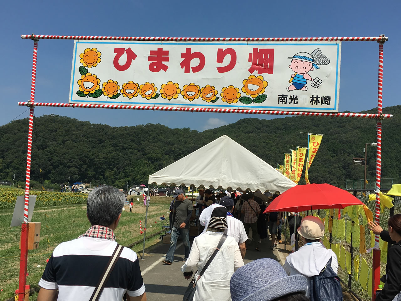 ゲートをくぐればそこはひまわり畑