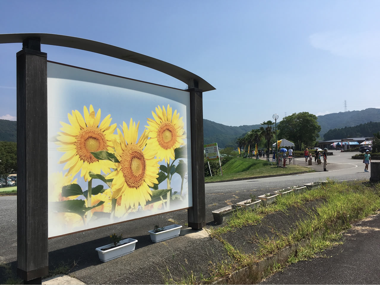 ようやくひまわり畑に到着