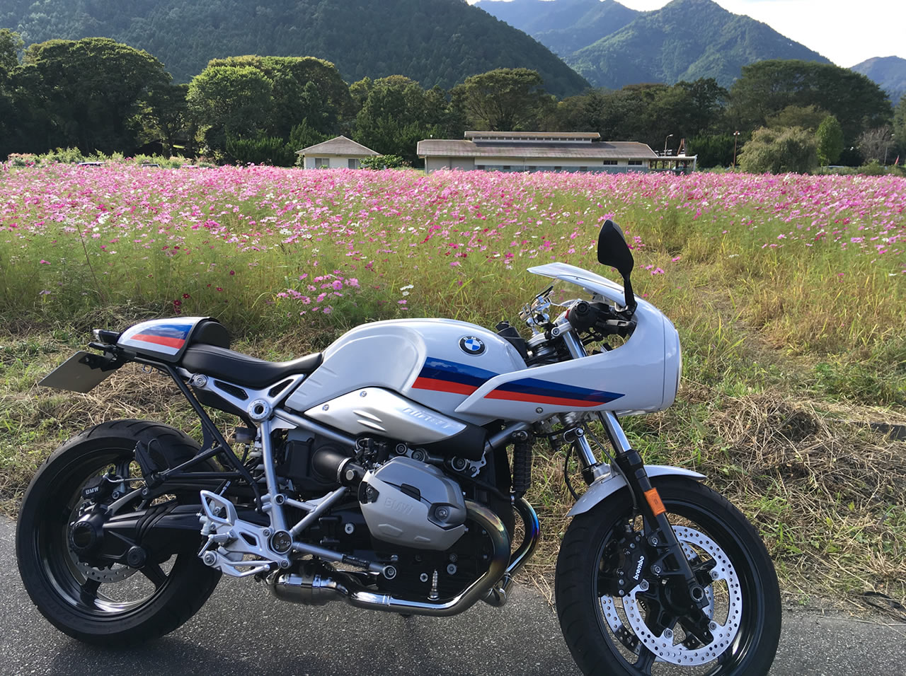 コスモスとR nine t racerとの2ショット