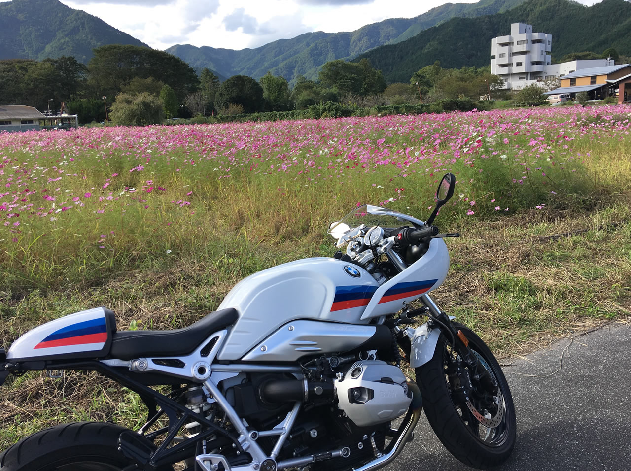 コスモスとR nine t racerとの2ショット−2