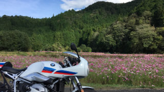 【おすすめスポット】秋の丹波・篠山ツーリング!黒枝豆・清住コスモス畑を目指してR nine T racerでソロツーリング行ってきた!