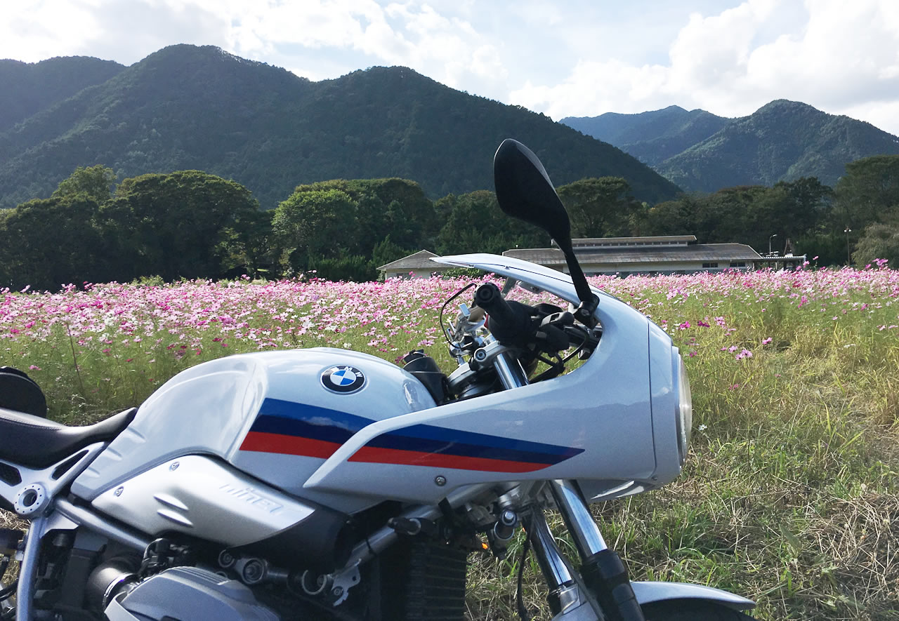 バイクが喜んでいるようだ