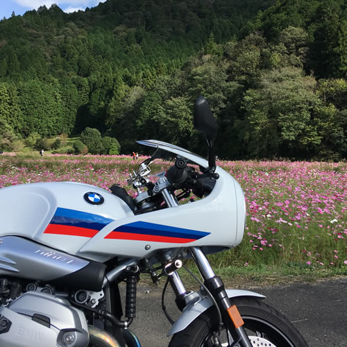 清住コスモス畑ツーリング