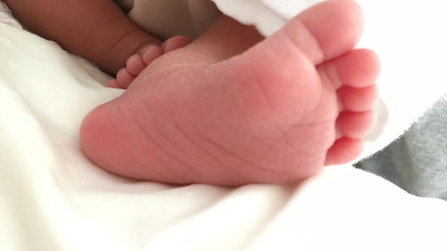 手形スタンプパッドのパームカラーズを使えばめちゃくちゃ簡単！生後２週間の赤ちゃんでもできるインクで手形・足形を取る方法とは