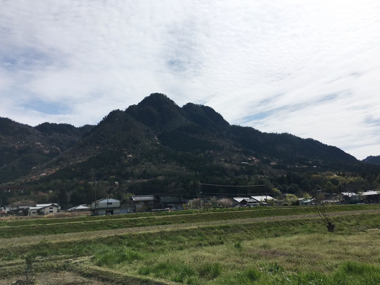 三尾山の絶景