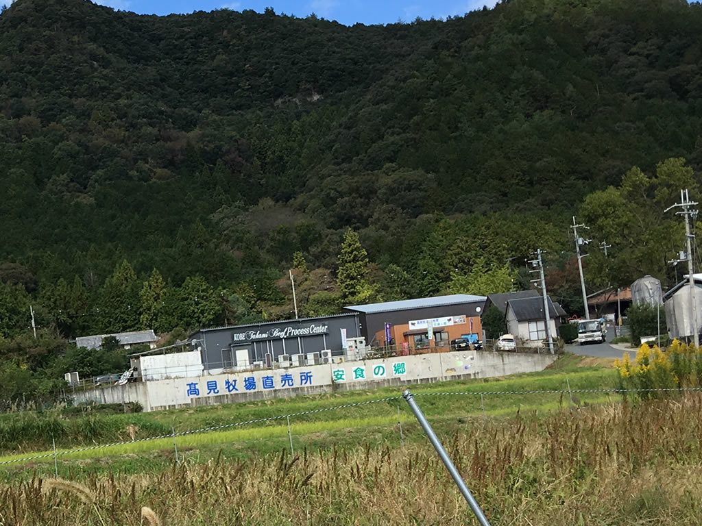 安食の郷が見えてきました