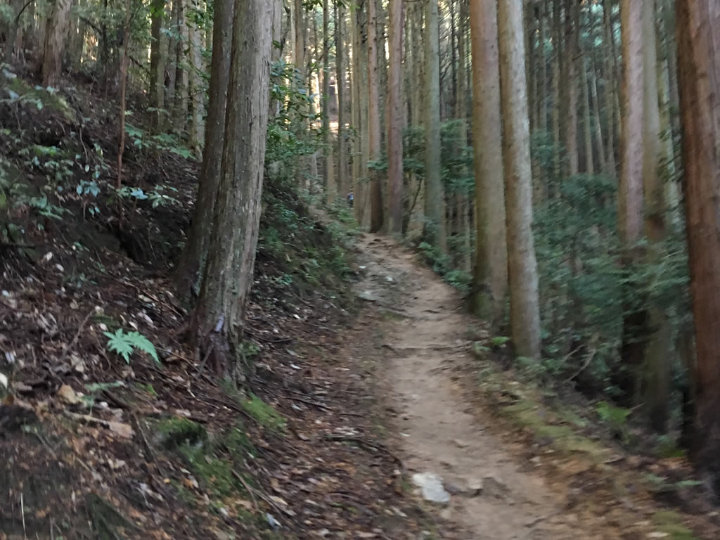 黒井城にトレイルランニング