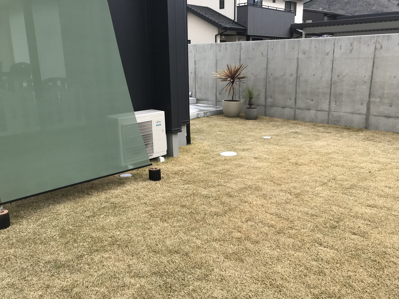 芝生に肥料を蒔いてみました