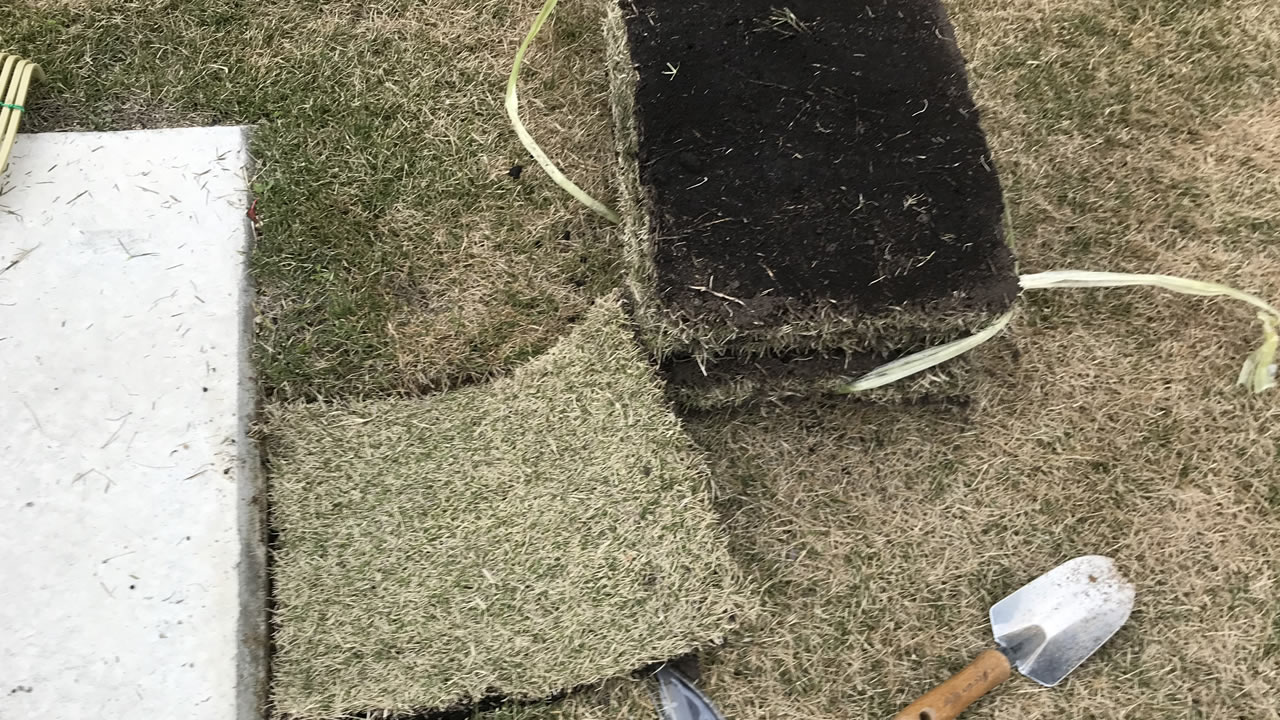 芝生が枯れたら張り替えがおすすめ！素人でも簡単にできる芝生の修復方法とは？