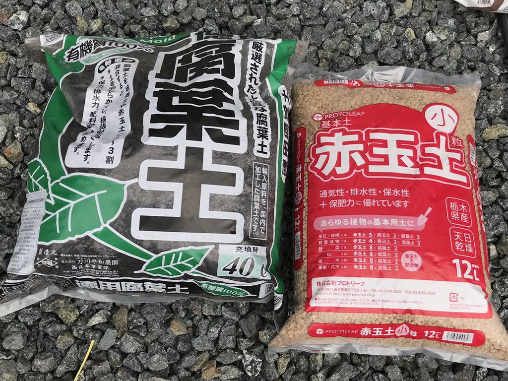 赤玉土、腐葉土で土作り