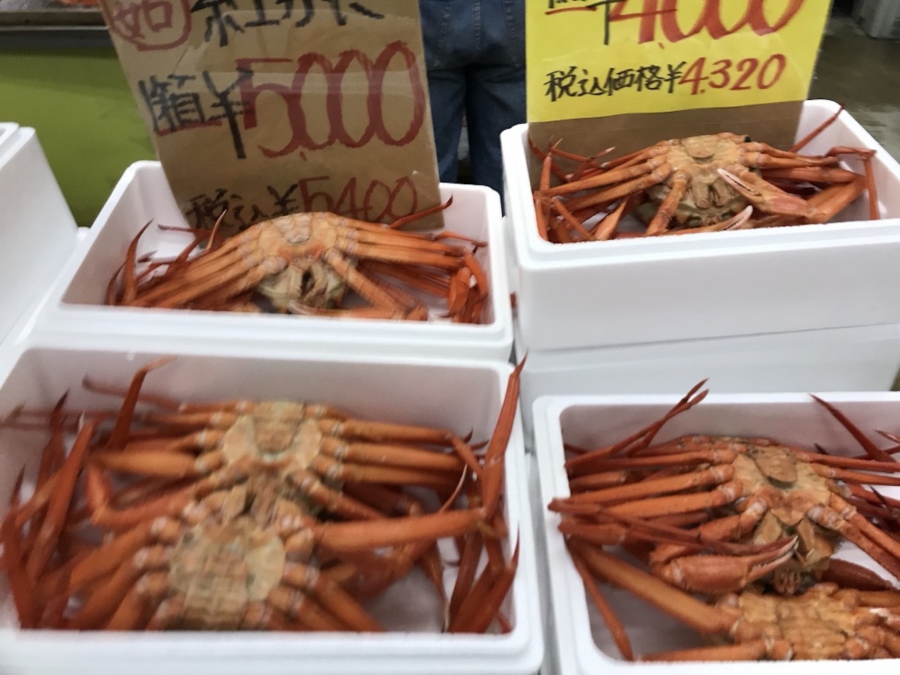 安いカニは紅ズワイ