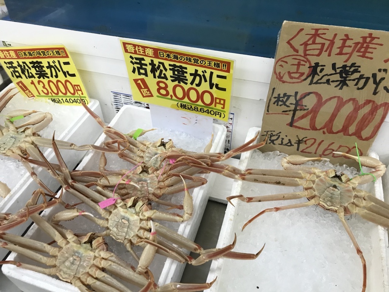 おいしい香住産松葉かに