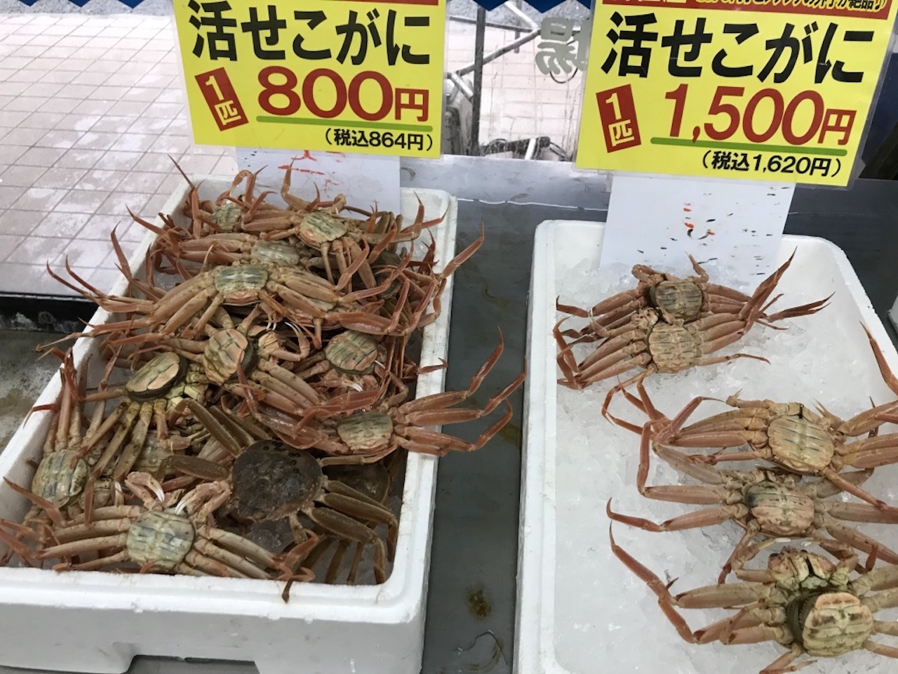 カニ好きが買う活せこがに・